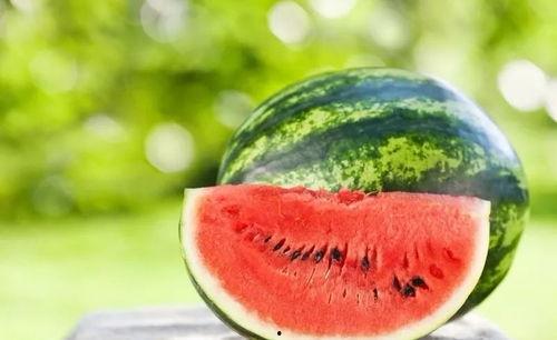 吃瓜一诺,揭秘娱乐圈背后的真实故事