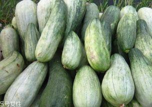 线瓜怎么吃,探索美味与健康的完美结合