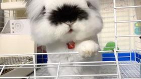 放风时刻吃瓜,揭秘娱乐圈幕后故事