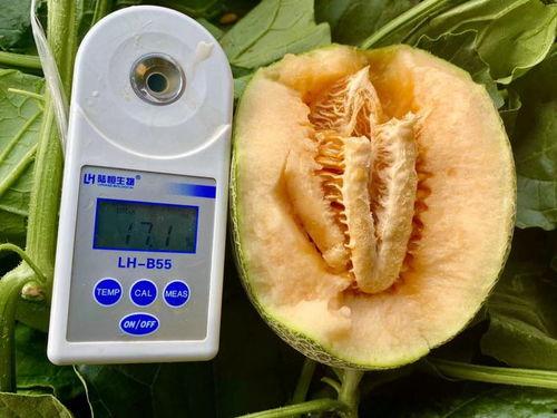 吃瓜超大合集,超大合集里的娱乐圈风云录