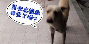 吃瓜场面,一场别开生面的吃瓜狂欢