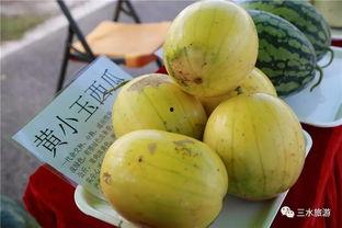 甜宝吃瓜,揭秘瓜界那些事儿