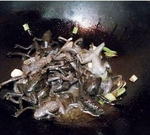 林蛙瓜吃肥皂,一场意外的清洁之旅