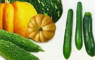 根瓜咋着吃,解锁健康美味新体验