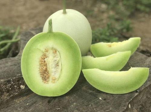 吃甜瓜还是吃蜜瓜冰淇淋,甜瓜与蜜瓜冰淇淋的冰淇淋盛宴