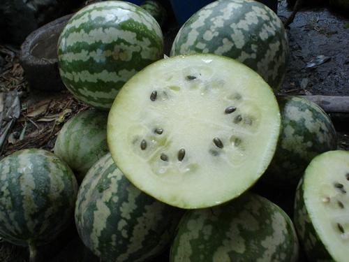 西湖瓜怎么吃没毒,揭秘无毒美味享受