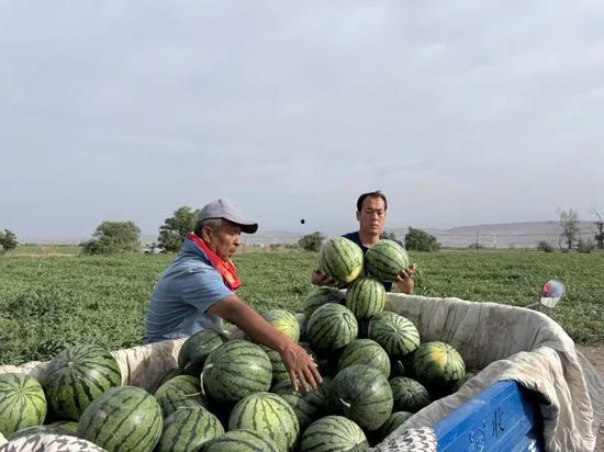吃瓜的牛马,揭秘娱乐圈背后的真实故事