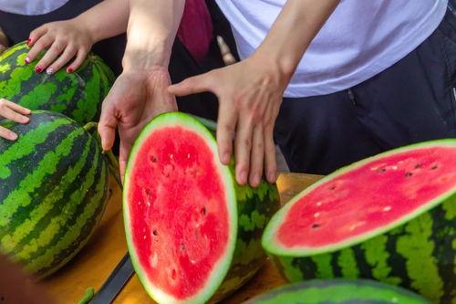 换子吃瓜,一场关于瓜田的悬疑大戏